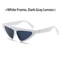 Chique witte driehoekige zonnebril met donkergrijze glazen en gouden metalen details - Wit Frame Donkergrijze Lenzen
