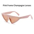 Trend driehoekige cat-eye zonnebril met roze mat frame en champagne glazen - Roze Montuur Champagne Glazen