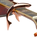 Shark-shaped guitar capo in rose gold finish clamped on a guitar neck neck with metallic texture - Blister Packaging / Rose Gold