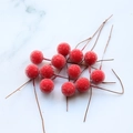 Frosted artificial red berries on stems for DIY crafts and festive Christmas decorations - 13mm / Red