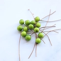Artificial green berry branches for DIY crafts and pastoral home decoration on white background - Green