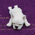 Schlafende Französische Bulldogge Auto-Deko aus cremeweißem Harz mit Hautfalten - Beige Bauchlage