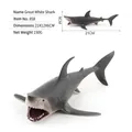 Realistic great white shark toy model in grey and white with 21x12x6cm dimensions - White Shark (858)