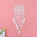 Vue détaillée d'un attrape-rêves blanc avec toile au crochet et plumes douces - Blanc