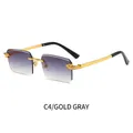 Frameless sunglasses with gold leopard temples and gradient grey lenses in a vintage style - Double Grey Lenses