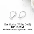 Poliert silberne DIY-Ohrhaken 10x15mm mit strukturierter Oberfläche und 2mm Öse - 10*15mm / Weißgold