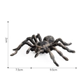 Modello di ragno nero realistico con zampe striate e dimensioni per gioco educativo - Ragno (127-682)