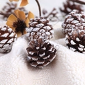 Pigne di Natale naturali con punte bianche su sfondo di pelliccia sintetica bianca morbida - Pigne con Bordi Bianchi 4-5cm (6 pezzi/confezione)