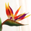 Single stem artificial Bird of Paradise flower with orange and purple petals - Sunset Orange