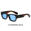Lunettes de soleil rétro à monture écaillée épaisse avec verres bleus et rivets - Monture Écaille Noire Verres Bleus (C7/HAWKSBILL BLUE)