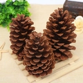 Three large natural brown pine cones arranged as rustic home decor for Christmas DIY projects - 9-12CM US Pinecone