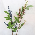 Artificial berry stems in deep blue and reddish-green for floral DIY home decoration - 70cm / Red & Green Berry Branch