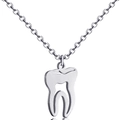 Détail macro d'un collier en acier inoxydable argenté avec pendentif dent évidée - Argent