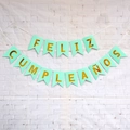 Detail of Spanish Feliz Cumpleaños mint green banner with gold foil letters on white brick wall - Green Swallowtail Happy Birthday