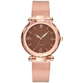 Rose gold women's quartz watch with brown glitter dial and mesh metal strap on white background - Brown