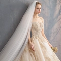 Luxurious champagne off-shoulder bridal gown with intricate lace embroidery and beads - US 26W / Floor-Length
