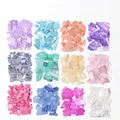 Detailed grid view of 12-color iridescent shell flakes for professional nail art design - Mixed 12 Color Glitter Shell Flakes (BK)