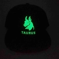 Luminous Taurus zodiac baseball cap with green glow-in-the-dark flat brim in black - Adjustable / Taurus