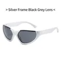Y2K sporty cat-eye sunglasses featuring silver semi-rimless frame and dark grey lenses - Silver Frame Grey Lens