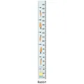 Blue cartoon rabbit height growth chart for kids room with cm and feet scales - Rabbit Carrot