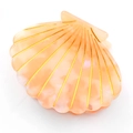 Translucent peach pink shell-shaped hair claw with gold radial stripes for women - Orange