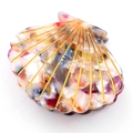 Shell shaped hair claw clip with colorful floral marble texture and gold accents - Rainbow