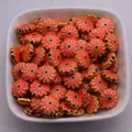 Dijes de girasol naranja con bordes dorados y centro azul en un cuenco de cerámica - 12mm/Agujero 2.0mm / Multicolor