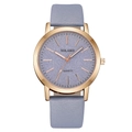 Detailed close-up of a women's watch with purple dial and grey leather strap - Light Blue