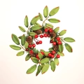 Weihnachtskranz mit roten Beeren und Tannenzapfen auf minimalistischem Hintergrund - Eisenring Kiefernzapfen Kranz 30cm