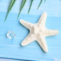 Detail of beige resin starfish and clear plastic diamonds on blue wooden background - Pure White Starfish