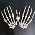Detailed pair of white plastic skeleton hands for Halloween spooky props on black background - Painted Retro Color