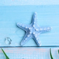 Detailed view of blue resin starfish ornament with white texture on sea-themed background - Blue Starfish