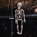 Halloween Deko Skelett Modell 40cm für Geisterbahn und Bar Streich Requisiten - 40cm Skelett