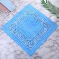 55cmx55cm Sky Blue