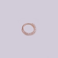 Eleganter Nasenring aus Roségold mit Zirkonia-Mikropflaster auf einem minimalistischen Reifen - Roségold 1#