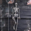 Detailliertes 165 cm lebensgroßes Hänge-Skelett-Modell für Halloween Grusel-Deko - 165cm Skelett