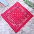 55cmx55cm Rose Red