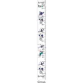 Circus bear theme kids canvas height growth chart with colorful flags and balloons 10-190cm - Circus