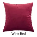 Square wine red velvet throw pillow cover with a soft minimalist texture - Burgundy / 45*45cm (Pillow Not Included)
