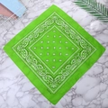 55cmx55cm Fruit Green