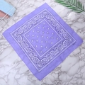 55cmx55cm Light Purple