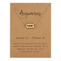 Golden Aquarius zodiac sign pendant necklace with description card on white background - Aquarius / Gold