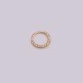 Eleganter goldener runder Ohrstecker mit Zirkonia-Steinen auf lila Hintergrund - Gold 1#