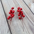 14-Head Red Berry