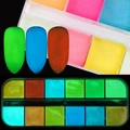 Detail of 12-color nail glitter powder palette showing neon and luminous glow effect - 12 Compartment Luminous Nail Powder (YS)