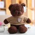 Oso de peluche marrón oscuro con jersey de punto beige y detalle bordado - Oso Con Suéter Marrón Oscuro