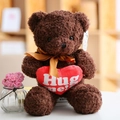 Oso de peluche marrón con pelo rizado y cojín de corazón rojo con Hug ME - Oso Abrazo Corazón Marrón Oscuro