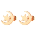Detailed close-up of rose gold star and moon stud earrings with polished finish - Rose Gold