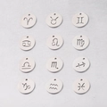 Set of 12 circular zodiac pendants in polished stainless steel for DIY jewelry making - 12 Constellation Set (Steel 12pcs)