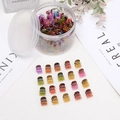 Colorful mini butterfly hair clips neatly arranged with a transparent storage jar - 1.0cm / Transparent Colorful